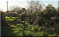 SX8855 : Gate by Greenway Walk by Derek Harper