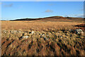 NY9187 : Ancient field boundaries & cairns at Darney Crag by Andrew Curtis