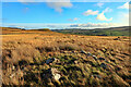 NY9187 : Probable burial cairn, Darney Crag by Andrew Curtis