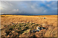 NY9187 : Ancient field boundaries & cairns at Darney Crag by Andrew Curtis