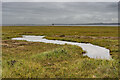 NU1042 : Saltmarsh by Ian Capper