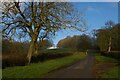 SP7175 : Lane climbing towards Shutterdown Spinney by Christopher Hilton