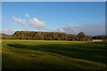 SP7074 : Sheep pasture north of Cottesbrooke by Christopher Hilton