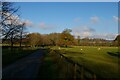 SP7074 : Lane running north from Cottesbrooke by Christopher Hilton