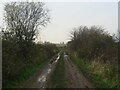 NO3602 : Part of East Fife Central Railway near Wester Durie by Becky Williamson