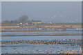 TL4885 : Ouse Washes near Oxlode by Hugh Venables