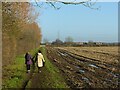 SK6340 : Walking to Stoke Bardolph by Alan Murray-Rust