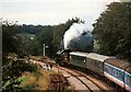 TQ3729 : Heading for West Hoathly, Bluebell Railway by Martin Tester