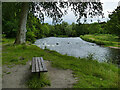 NJ9309 : Bench by the river Don, Seaton Park by Stephen Craven