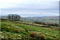 SD8888 : Rough grazing by the bridleway to Drumaldrace by Andy Waddington