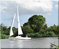 TG3306 : Wheatfen - River Yare by Colin Smith