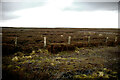 NZ0142 : Decrepit fence on Collier Law by Andy Waddington