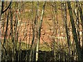 SK6039 : Colwick Cutting cliffs  1 by Alan Murray-Rust