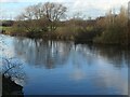 SE3925 : River Calder, upstream of Woodnook Lock entrance by Christine Johnstone