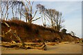 TM5383 : Crumbling cliffs north of Benacre Broad by Christopher Hilton