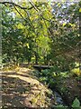 TQ6001 : Bridge across Stream in Hampden Park by PAUL FARMER