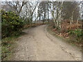 TQ5536 : Track through heathland at Broadwater Warren Nature Reserve by Marathon