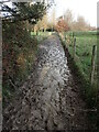 TQ5337 : Muddy footpath at Groombridge by Marathon