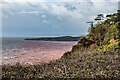 SY0581 : Cliffs at West Down by Ian Capper