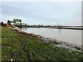 TL2799 : The River Nene and Dog in a Doublet sluice - The Nene Washes by Richard Humphrey