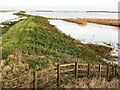 TL2799 : The south bank of the River Nene - The Nene Washes by Richard Humphrey