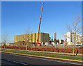 TL4654 : A crane on the Cambridge Biomedical Campus by John Sutton