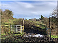 SJ7949 : Muddy gateway and kissing gate, Audley Meadows by Jonathan Hutchins