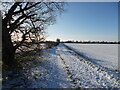 TF1606 : Farm track and footpath between Peakirk and Glinton in the snow by Paul Bryan