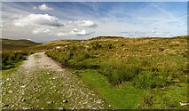  : Hornby Road by Peter McDermott