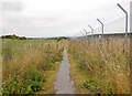 NH7651 : Path by Inverness Airport by Craig Wallace