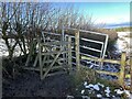 SJ7951 : Broken kissing gate and metal gate by Jonathan Hutchins