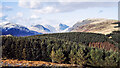 NY1201 : Coniferous plantation on Irton Pike by Trevor Littlewood