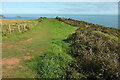 SX8748 : Coast path above Warren Cove by Derek Harper