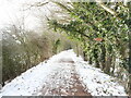 TG3027 : Looking along a Snowy Weavers Way by David Pashley