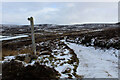 SE0955 : Moorland Track leading towards Hazlewood Moor by Chris Heaton