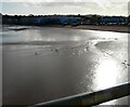 SX8960 : Paignton Sands by Gerald England