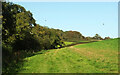 SX8363 : Streamside trees and field by Derek Harper