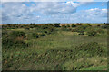 TF6533 : Snettisham Coastal Park by Hugh Venables