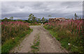 NH7849 : Track junction, by Tornagrain by Craig Wallace