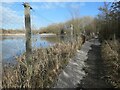 SE3522 : Perimeter maintenance, Strawberry Pond fishing lake by Christine Johnstone