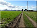 SO8547 : Footpath and farmland track by Philip Halling