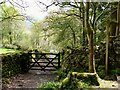 NY1700 : Mossy entrance to a bridleway by Marika Reinholds