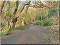 SD8003 : Path in Prestwich Clough by David Dixon