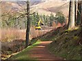 NT2938 : Excavator, Cardrona Hill by Jim Barton