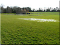 TR1541 : Sibton Park Cricket Clubs flooded pitch by John Baker