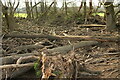 SX8574 : Flood debris in pond, Teign flood plain by Derek Harper