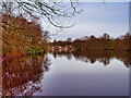 SD8303 : Heaton Park Lake by David Dixon