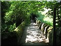 SD2878 : The Cumbria Way, Gill Banks Beck by Adrian Taylor