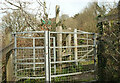 SX8060 : Kissing gate, Totnes by Derek Harper