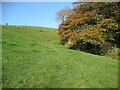 SD2779 : The Cumbria Way near Bortree Stile by Adrian Taylor